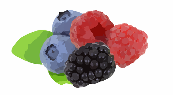 fruit and fibre