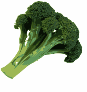 fibrous vegetables