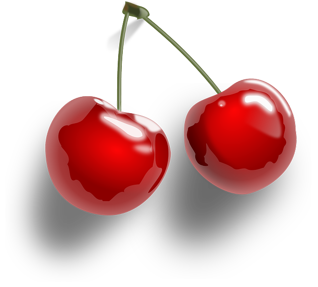 High Fibre Foods FIBRE FOODS